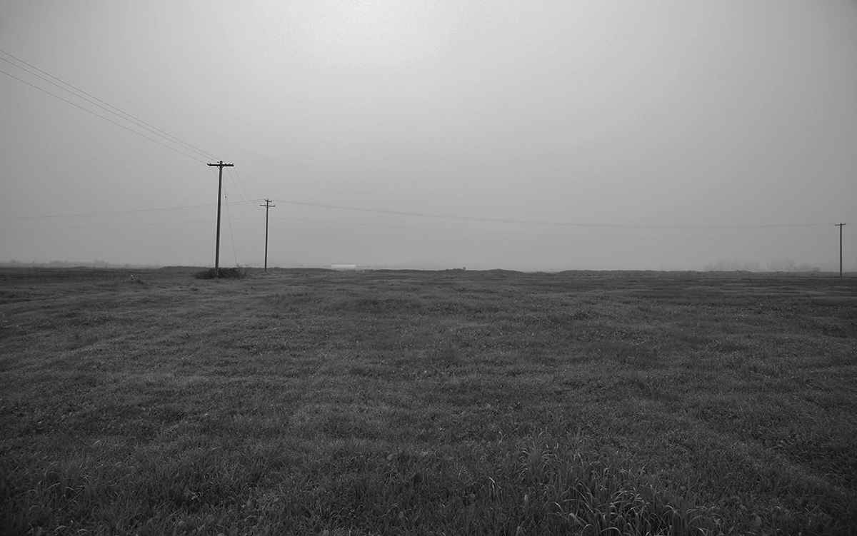 3 Poles In The Fog
