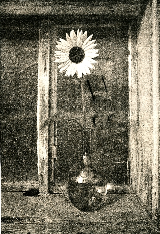 3 -