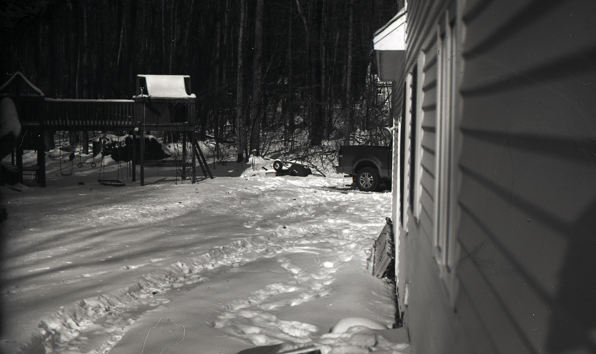35mm Dry Plate - Backyard Test