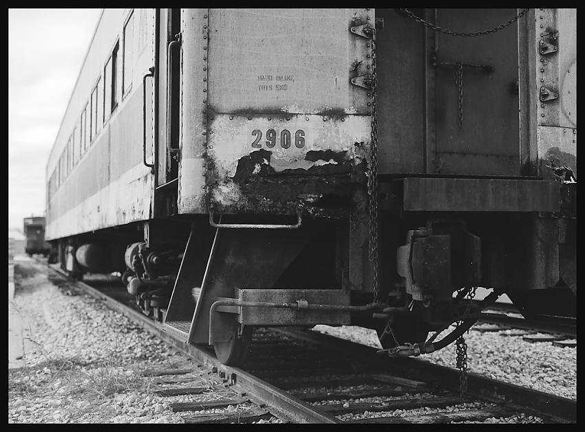 41620004