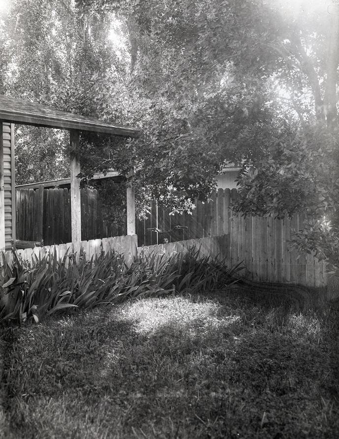 5x7-Backyard-Print