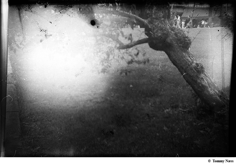 6x9