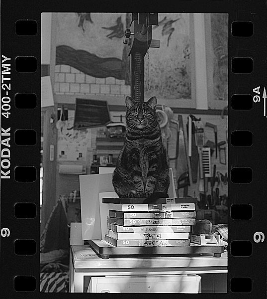 "7 Boxes 91/2x12" and..."