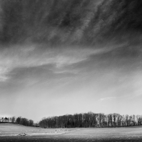 7 Sheep, Jeffersonville Ny