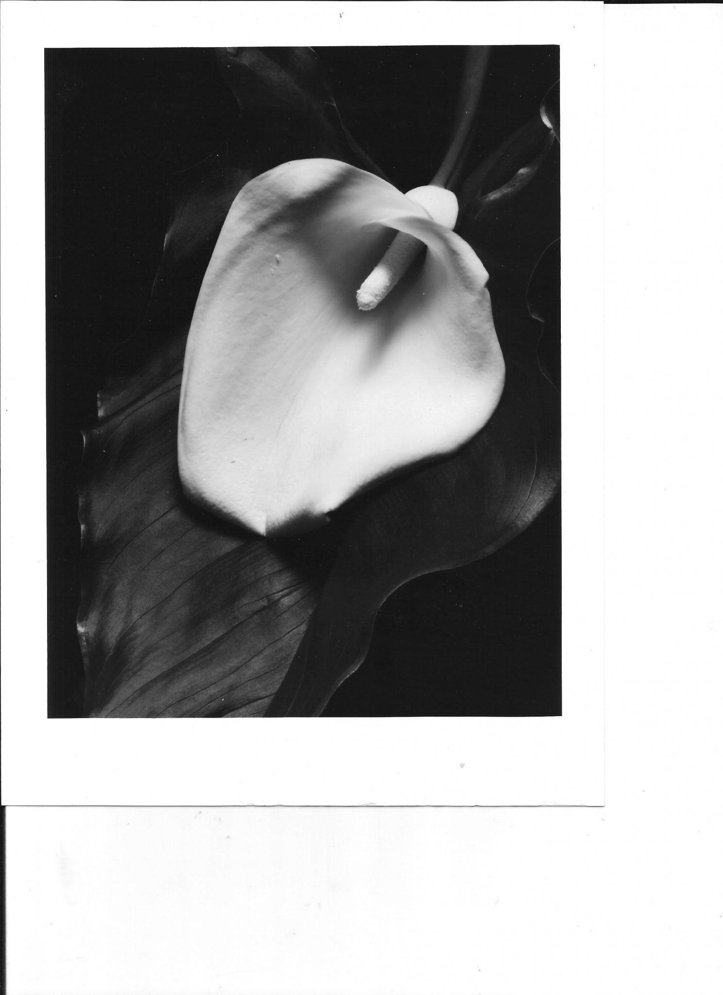 71_2