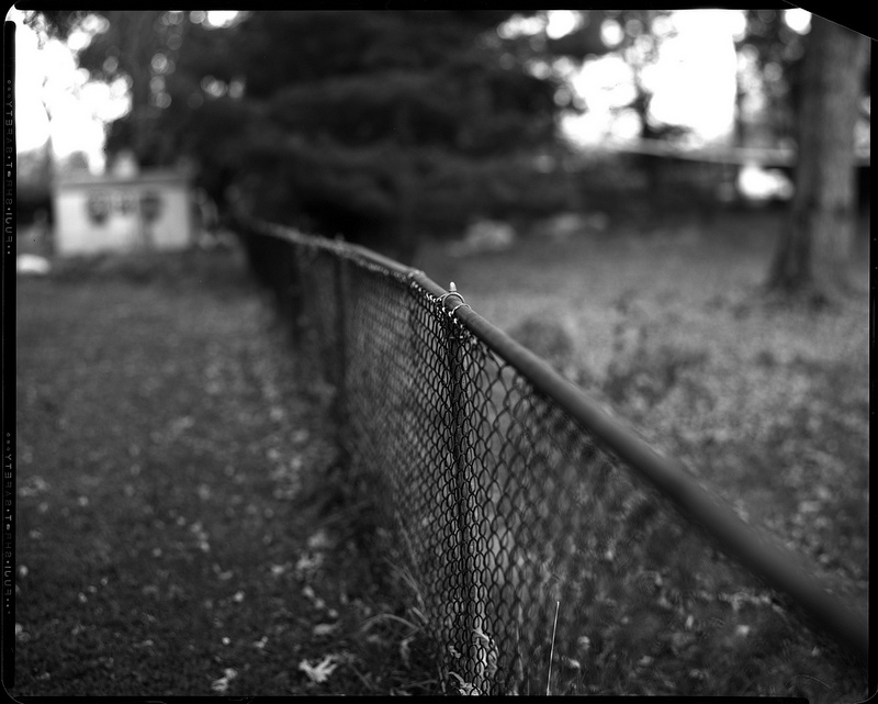 8x10 X-Ray Film Experimentation