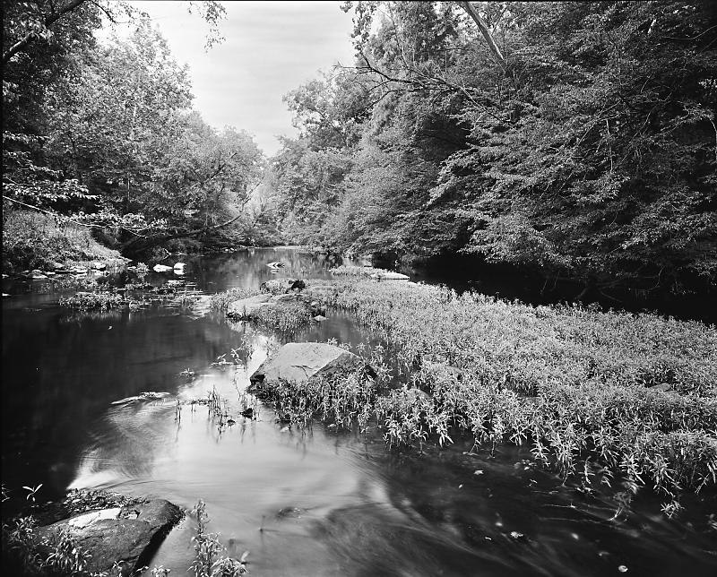 8x10 X-Ray Film Images of Orange County, NC