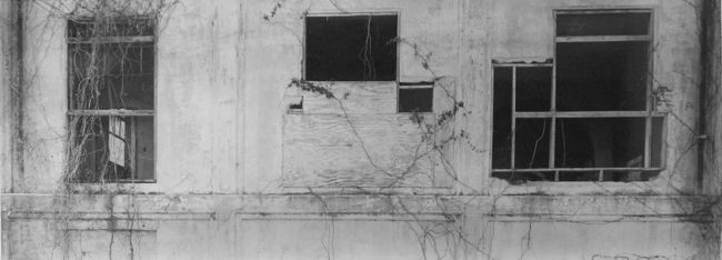 8x20 Contact Print