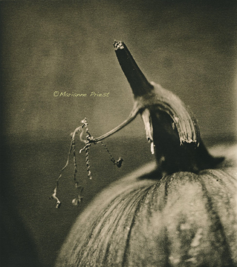 A Better Pumpkin