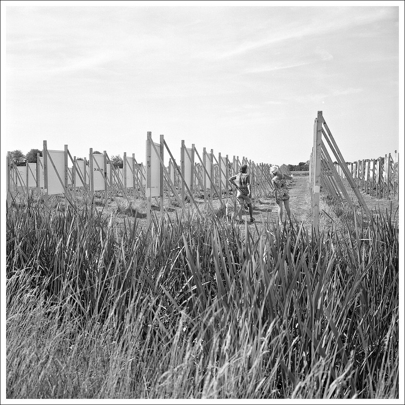 A coloured field. The Colorfield Performance