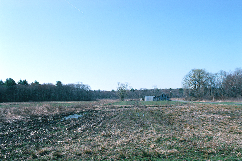 A Farm In Concord