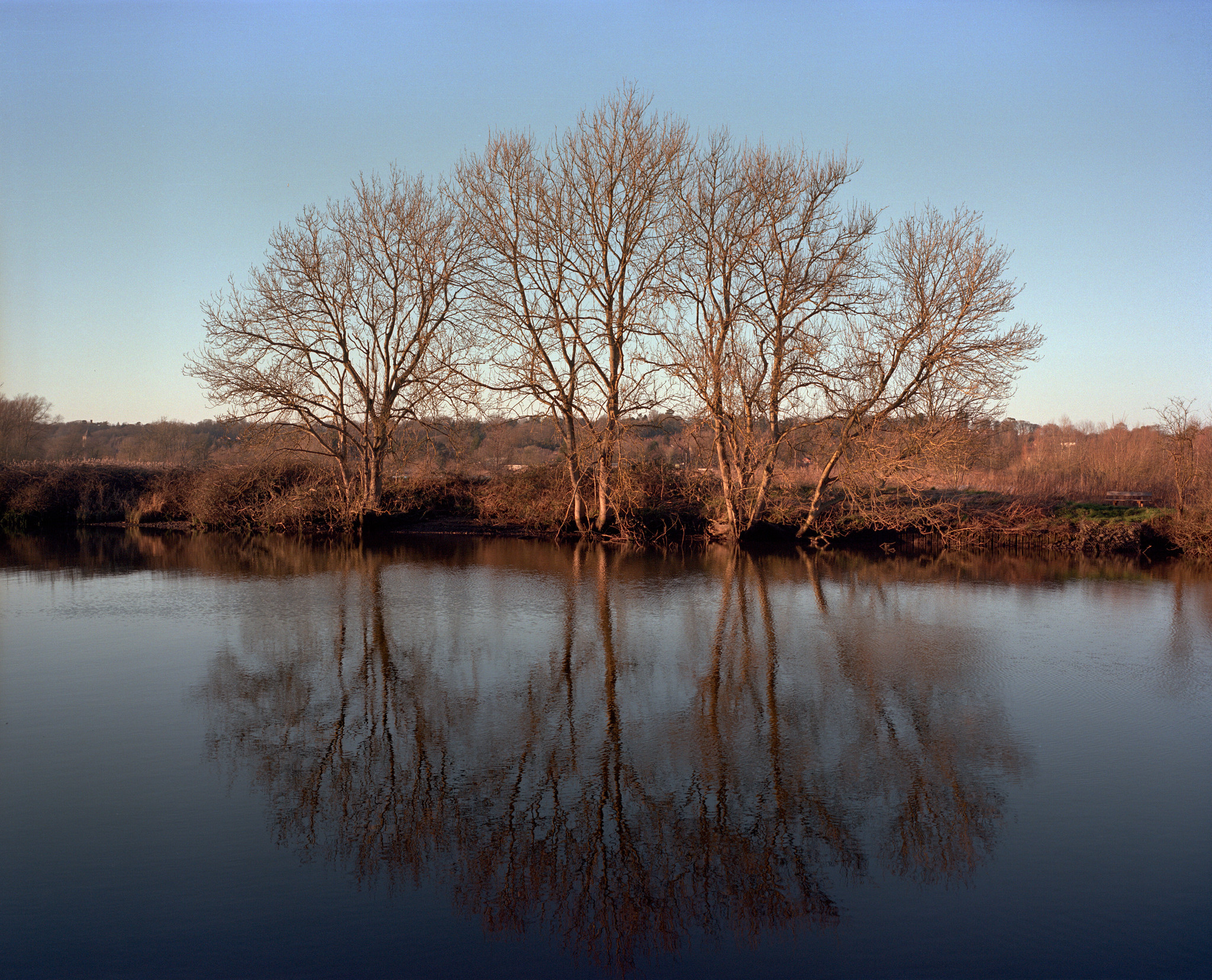 A February Afternoon - 2