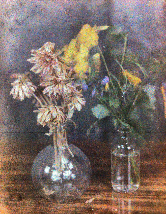 A few flowers