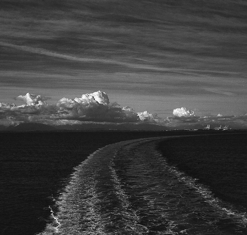 A few more shots taken with my Yashica Mat 124G