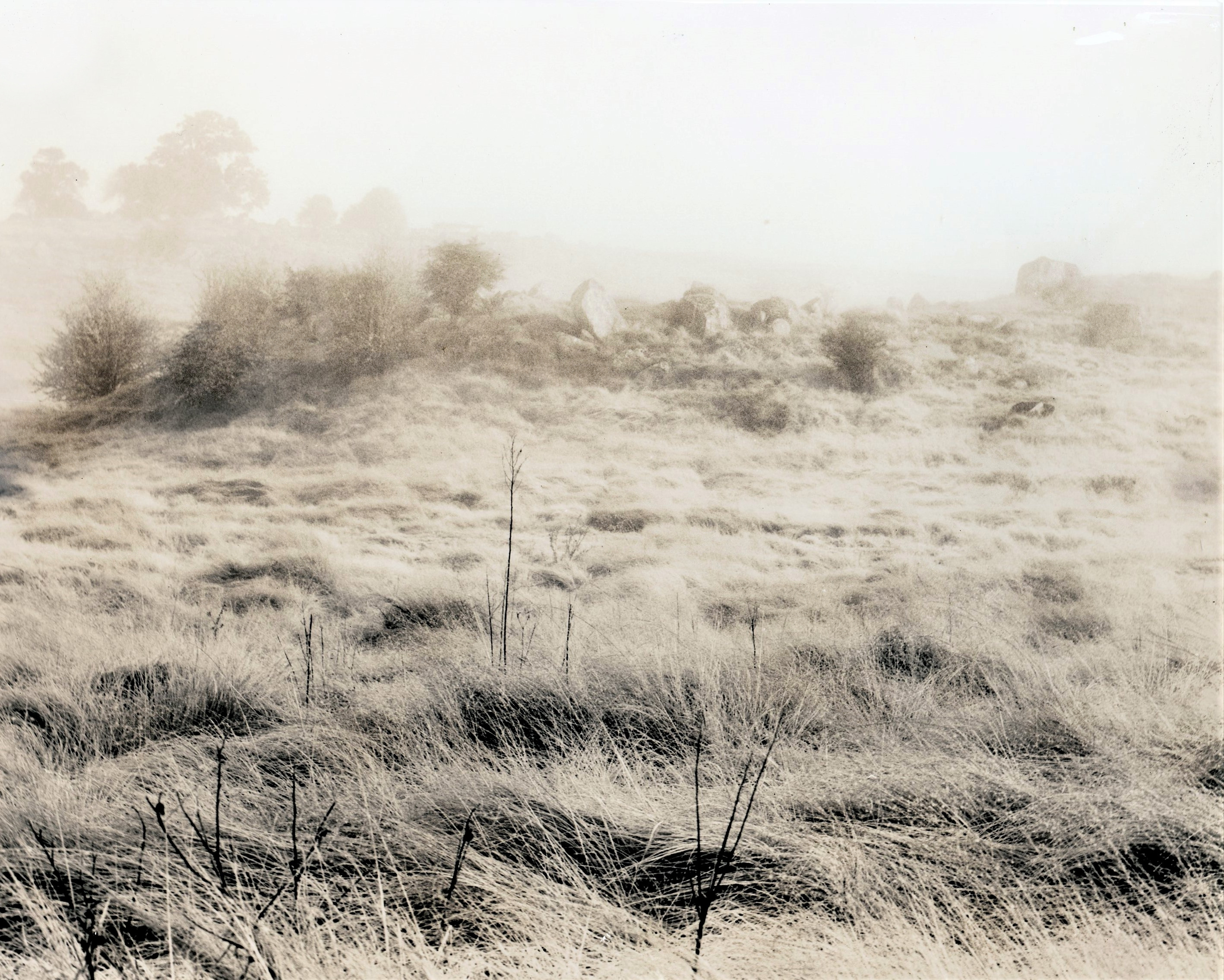A field Somewhere