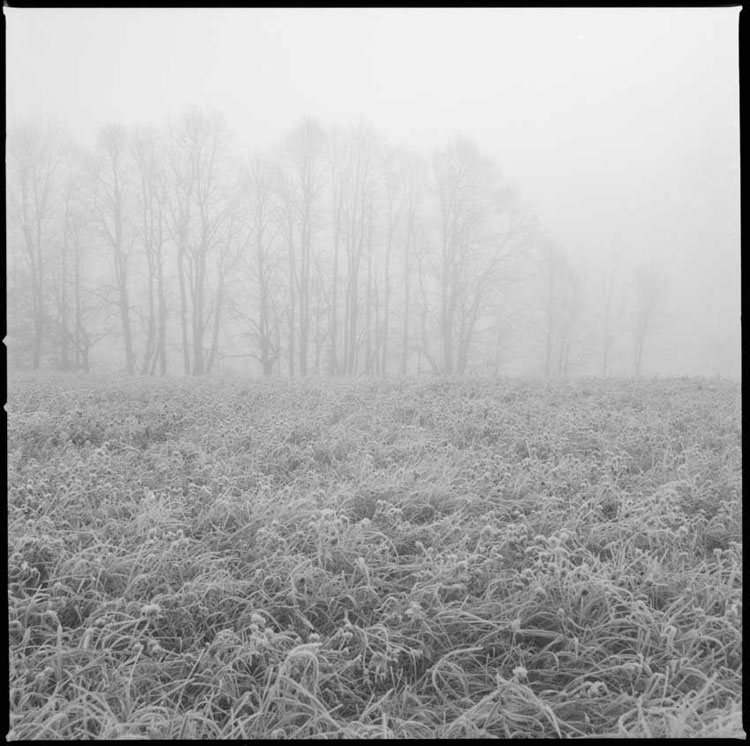 A Foggy Day in Calabogie Town
