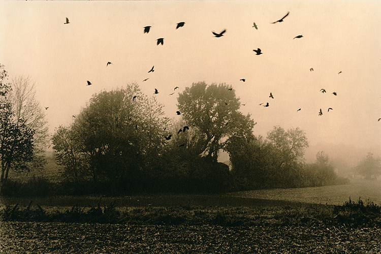 A foggy morning II