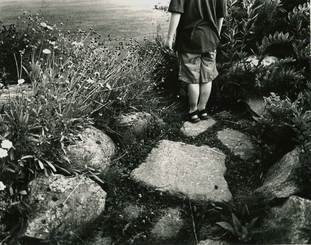 A Garden
