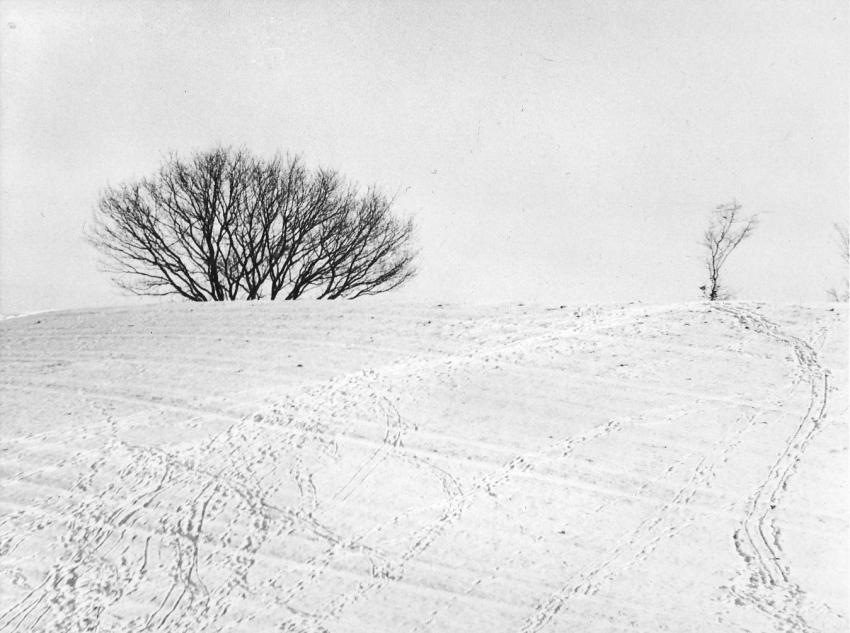 A Hill In Winter