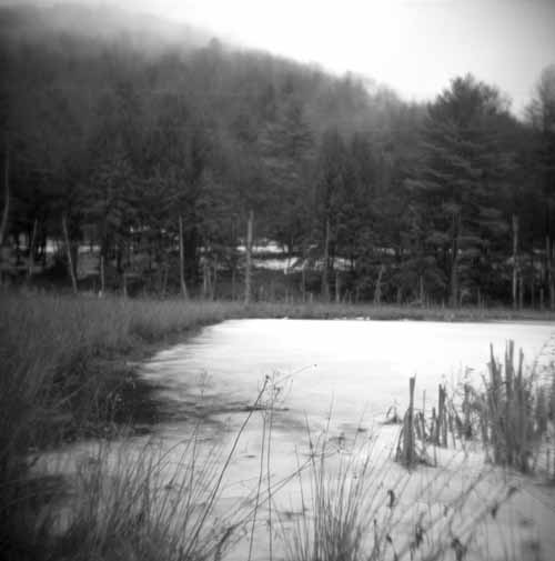 A Late Winter Day Out with My Holga