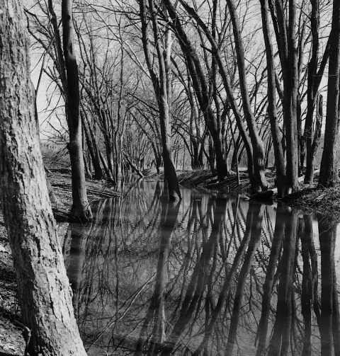 A lazy Salt Creek