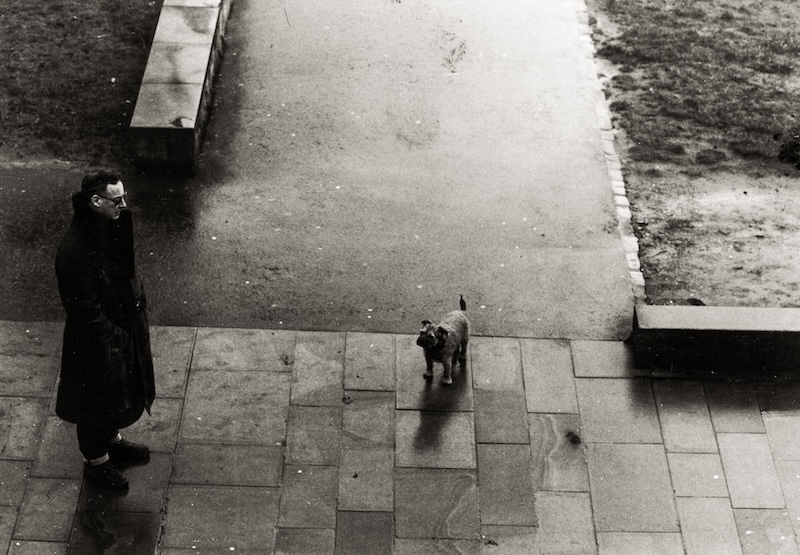 A man and his dog
