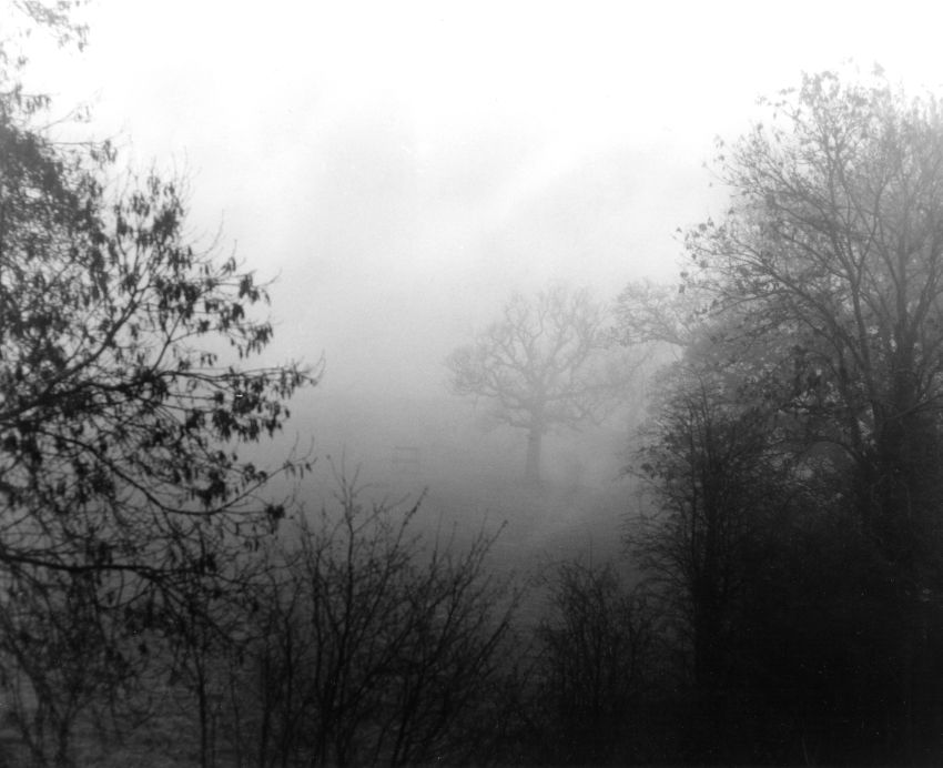 A Misty Day