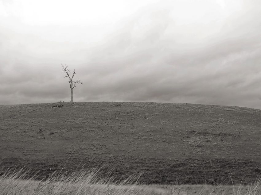 A quick scan with Kooka