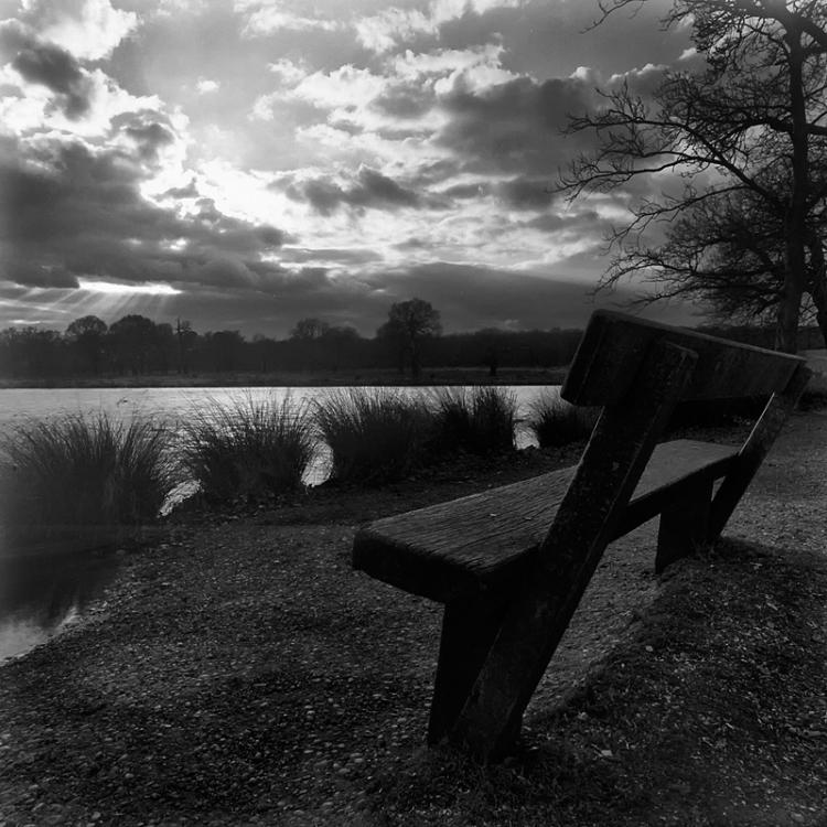 A Quiet Place To Contemplate