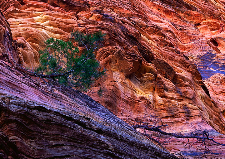 A Secret Place in Zion