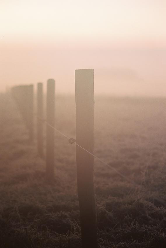 A selection of various images