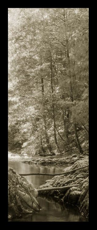 A stream in Caucasus foothills