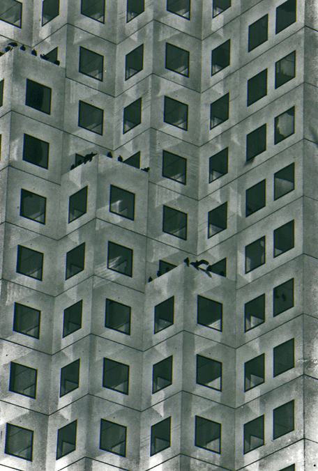 A study in Repetition