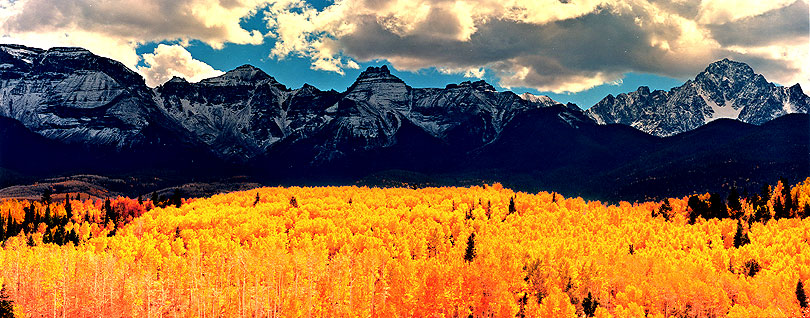 A Sundance of Aspens Staged by Jagged Peaks