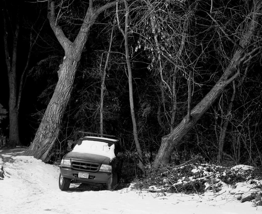 A Truck Among Trees