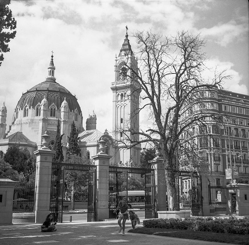 A view from El Retiro