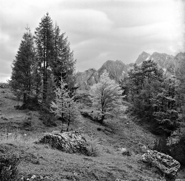 A view from Vrsic pass
