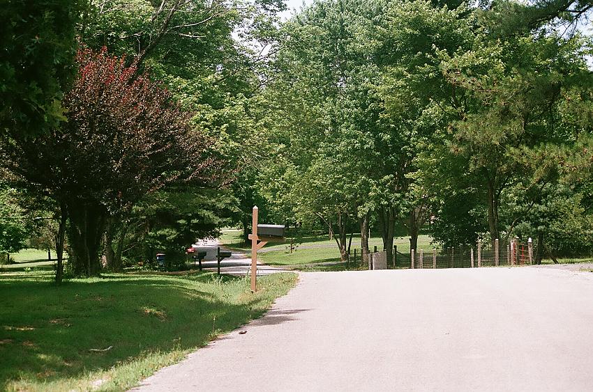 A view of my front yard