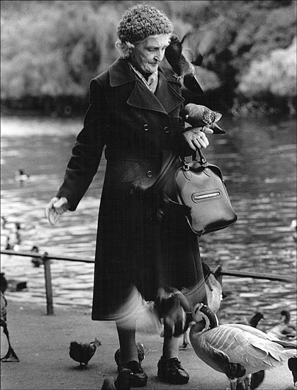 A Walk in the Park
