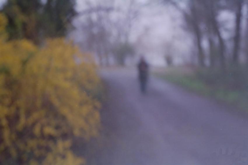 A Walk In The Park