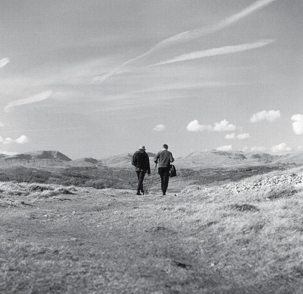 A walk on wonderful Whitbarrow