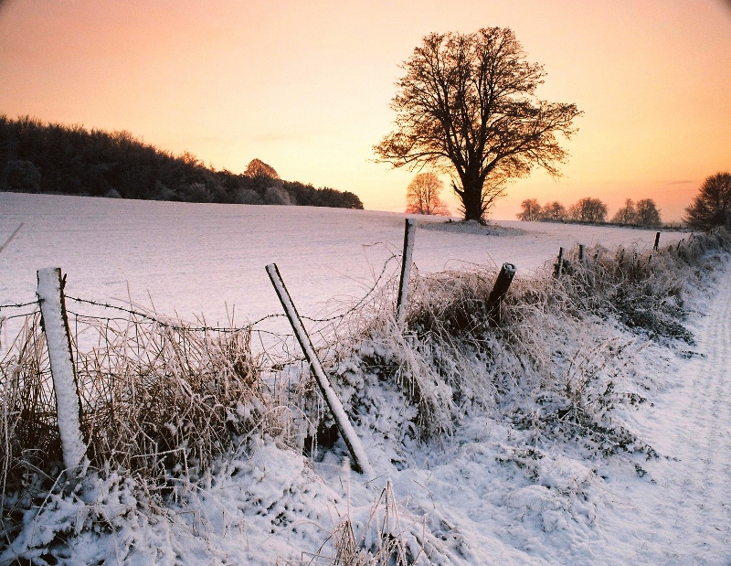 a4 crop of snowscene 800x619