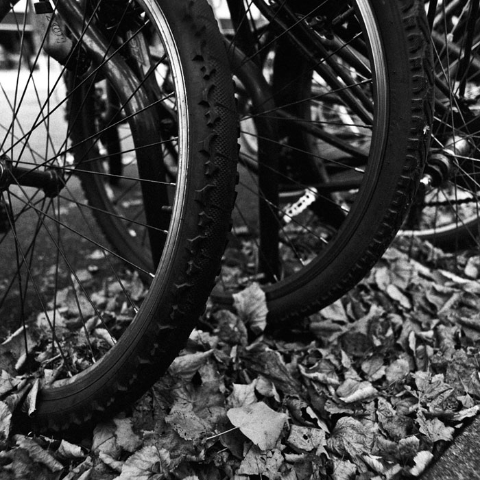 Abandoned bicycles