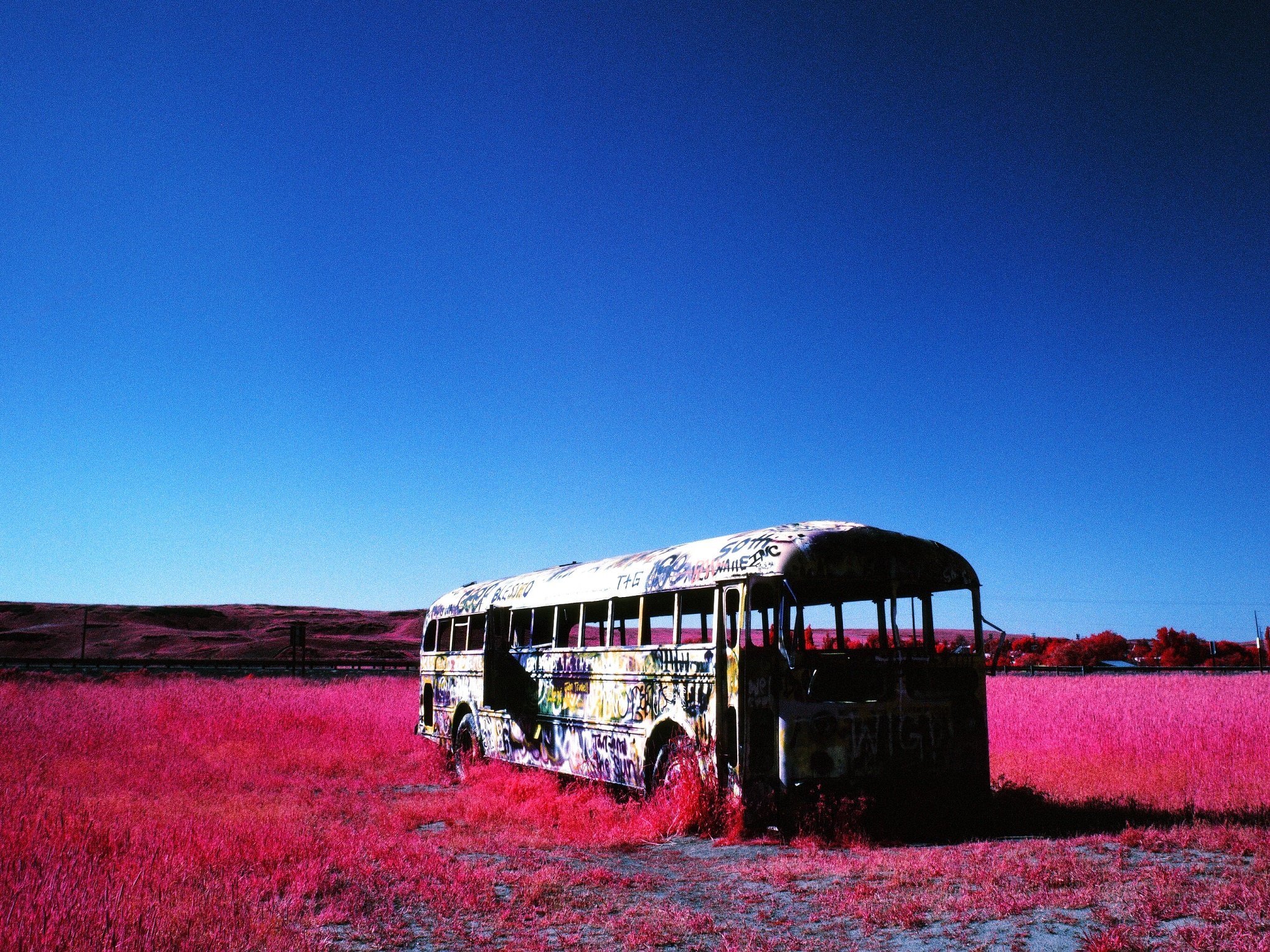 Abandoned bus