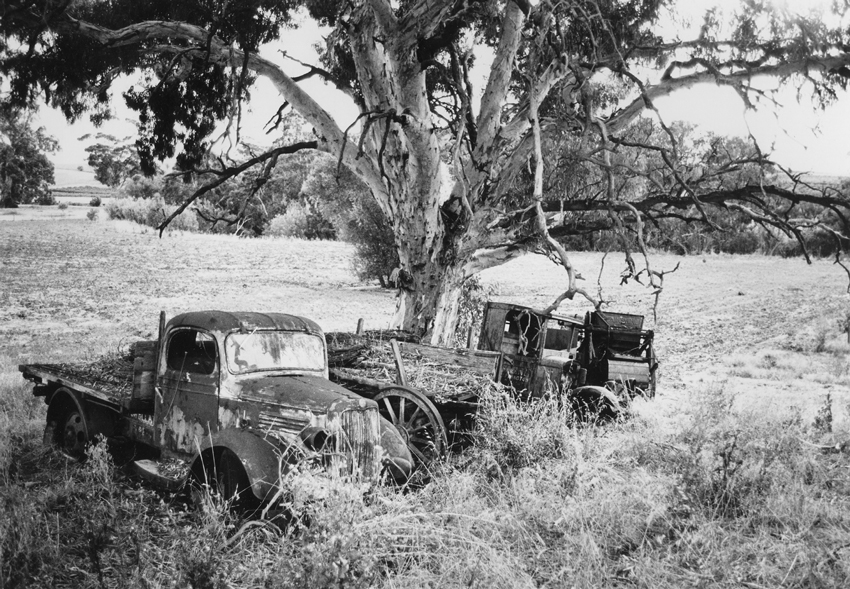 Abandoned Cars in Field