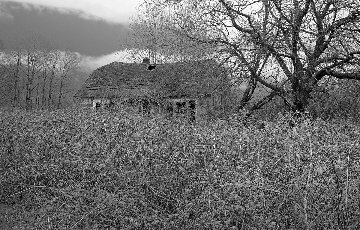 Abandoned Corn Field Farm House