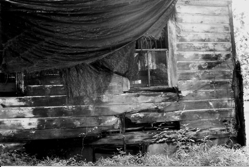 Abandoned Farm House