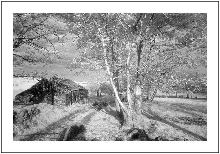 ABANDONED FARMHOUSE