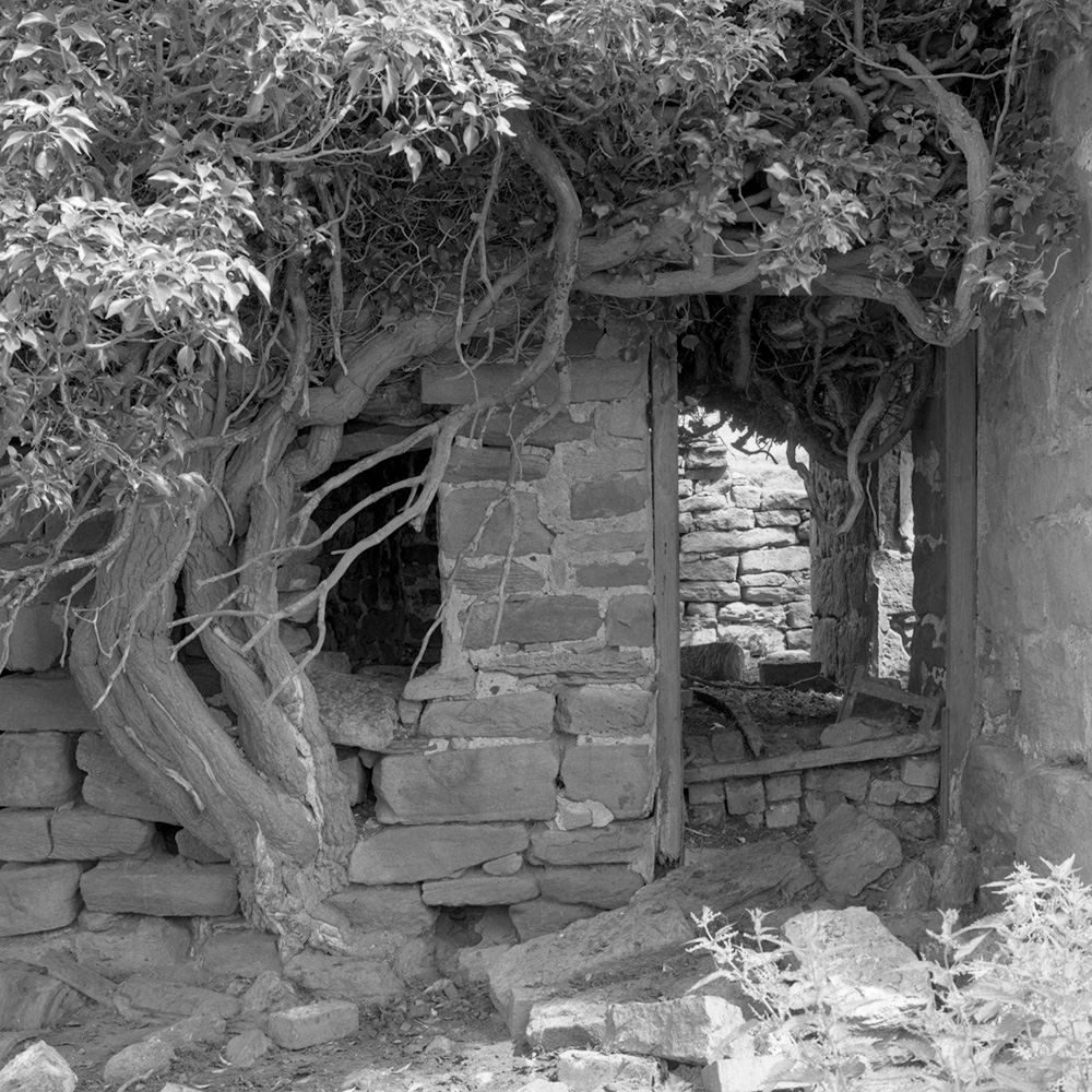Abandoned Farmhouse