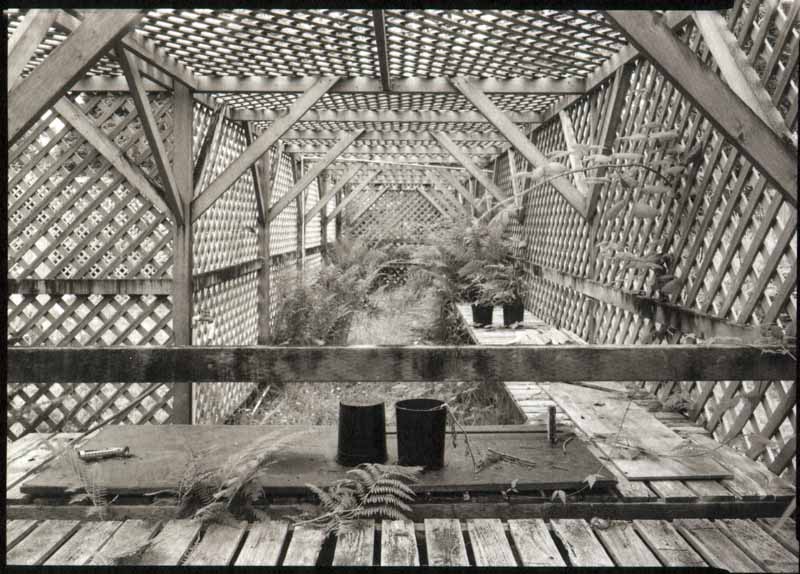 abandoned greenhouse